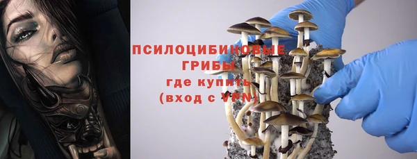 прущие крисы Алексин